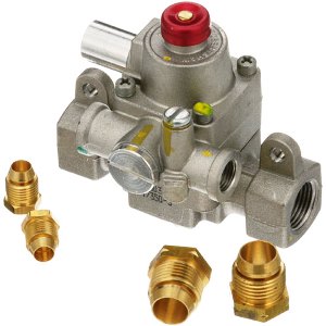 TS Safety Valve