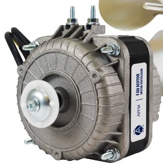 Motor