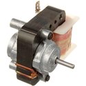 Evaporator motor